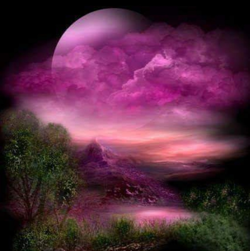 Meet your Posher, Mistie